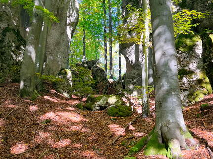 22-10-09 14-24-32 2573